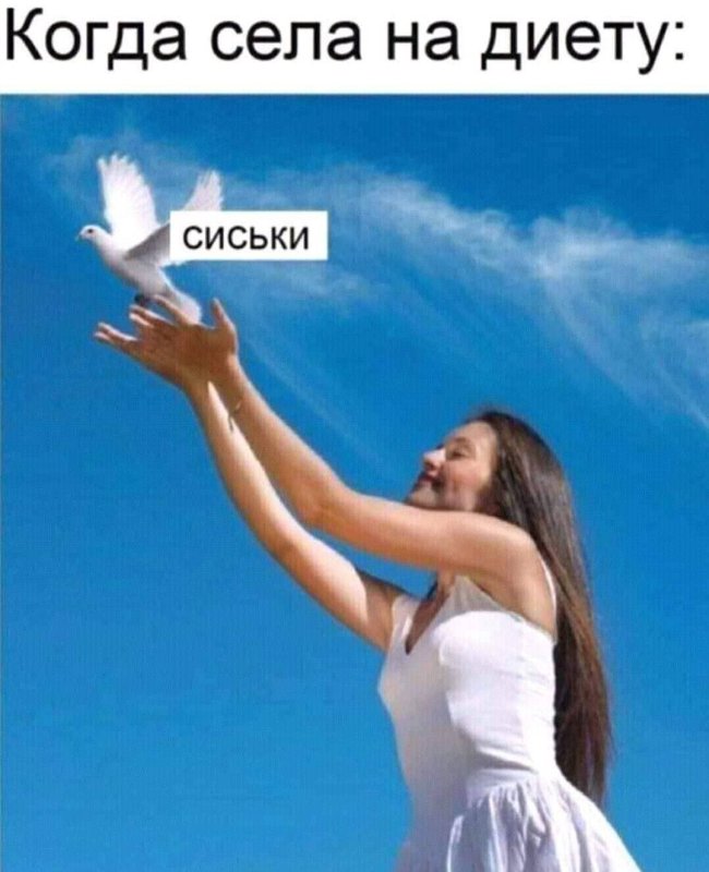 Девушка выпускает голубя в небо