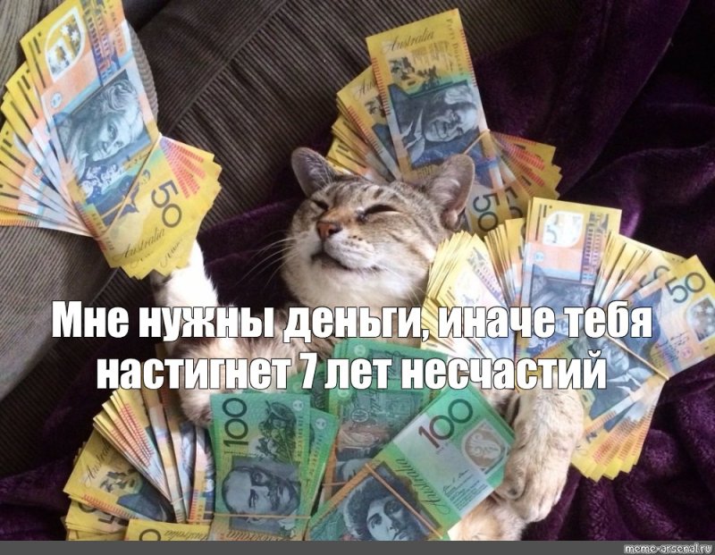 Кот с деньгами Мем