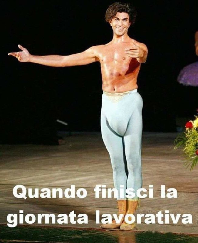 Танцор балета Николай Цискаридзе