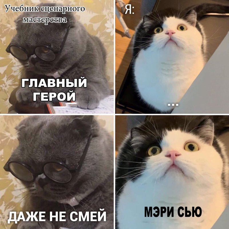 Мемы про котиков