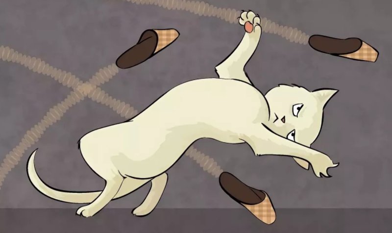 Кот уворачивается