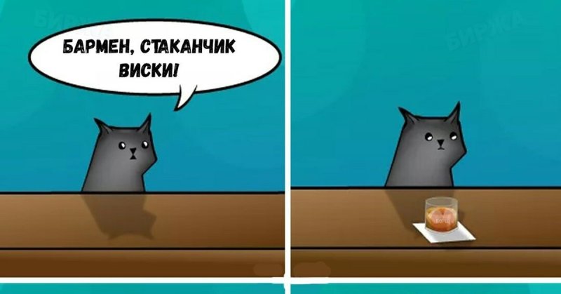 Кот бармен мемы