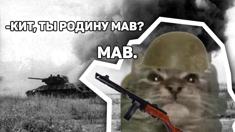 Мемный кот военный