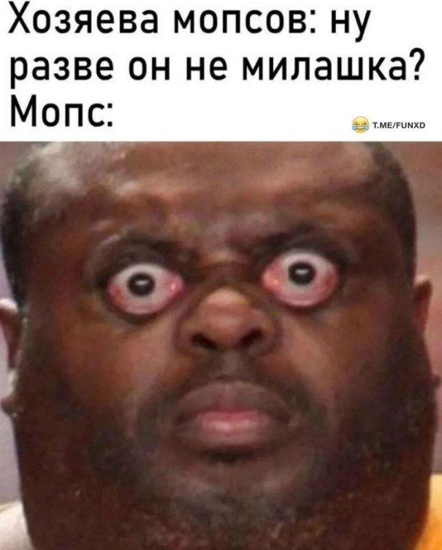 Смешные лица людей негр