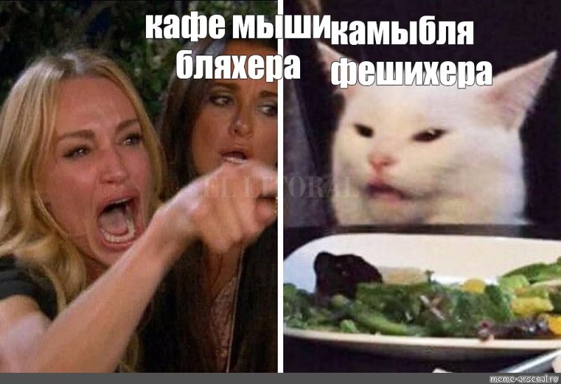 Кот в кафе Мем