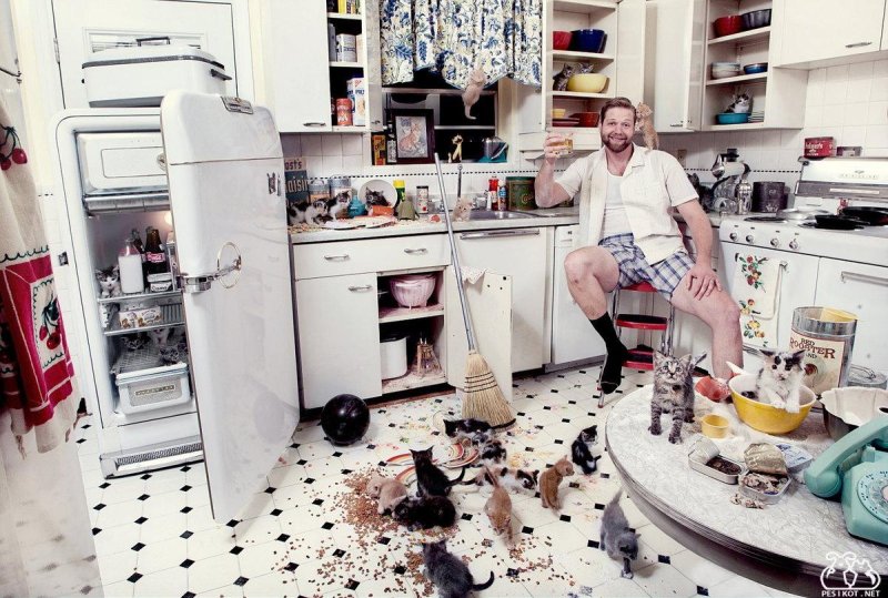 Беспорядок в доме на кухне