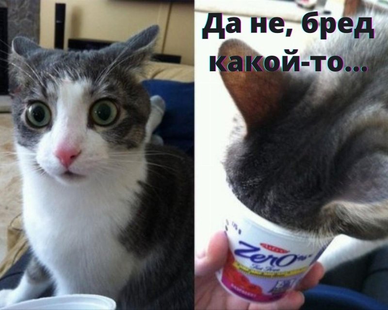 Да не бред какой