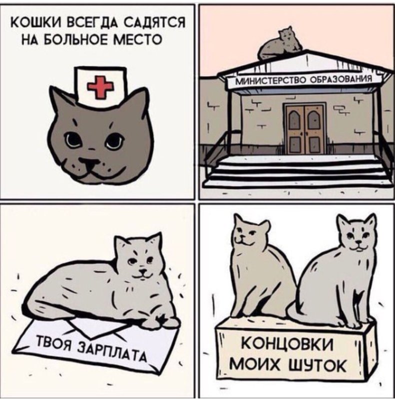 Катава мемы