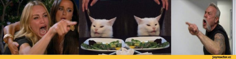 Девушки орут на кота