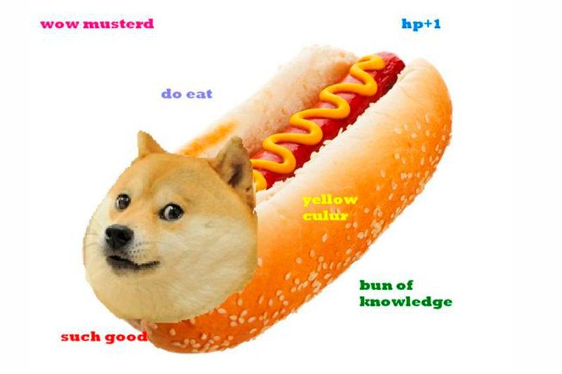 Хот дог Мем