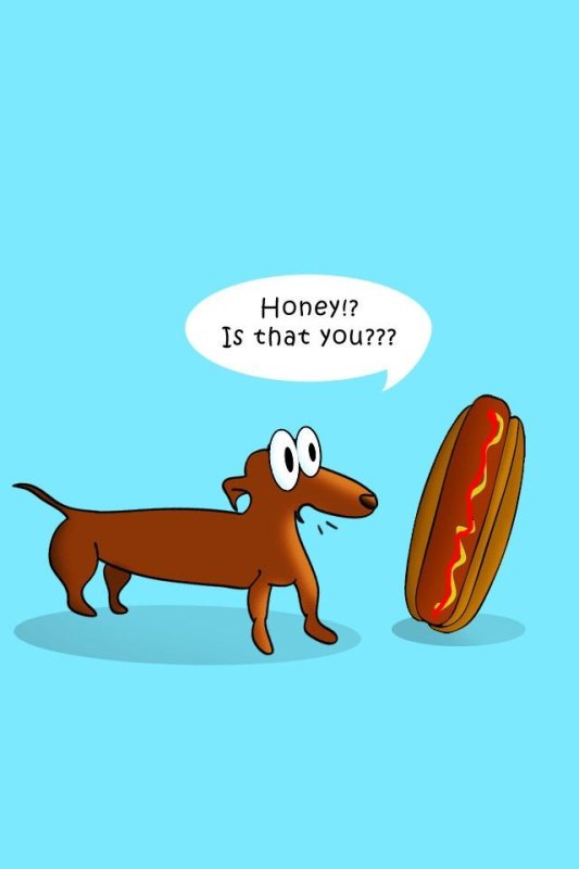 Мемы про хот доги