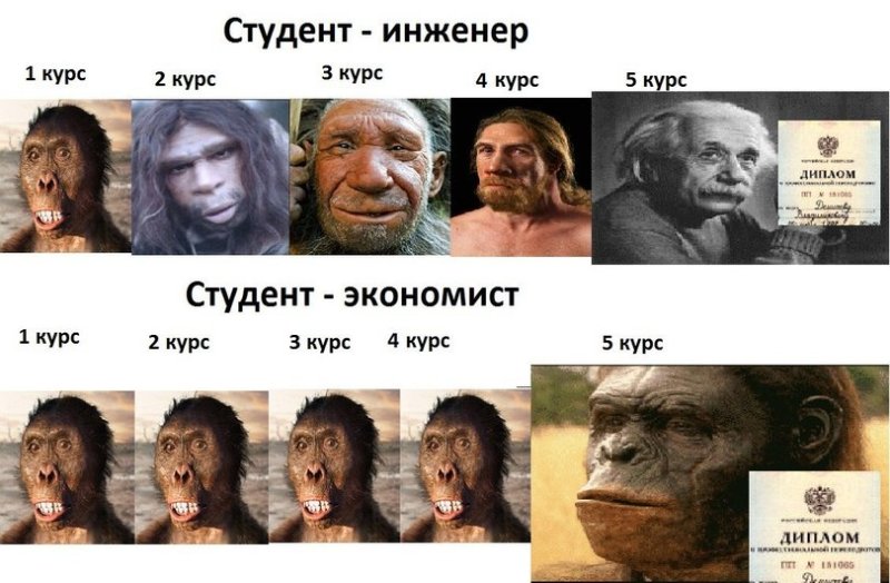 Студент инженер студент экономист
