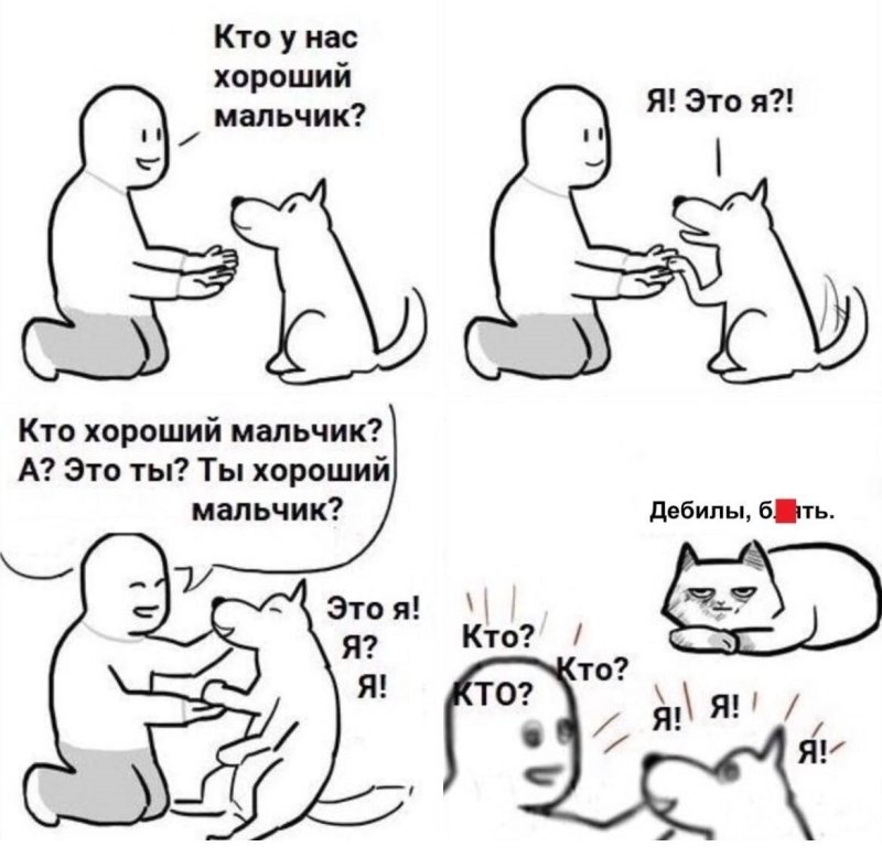 Кто хороший мальчик кот