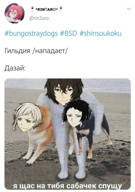 Мемы по бродячим псам