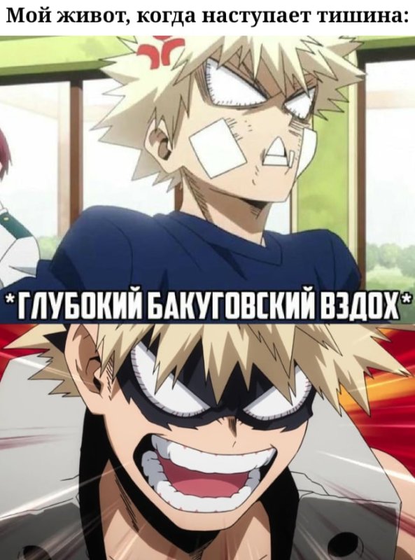 Мемы по Мга