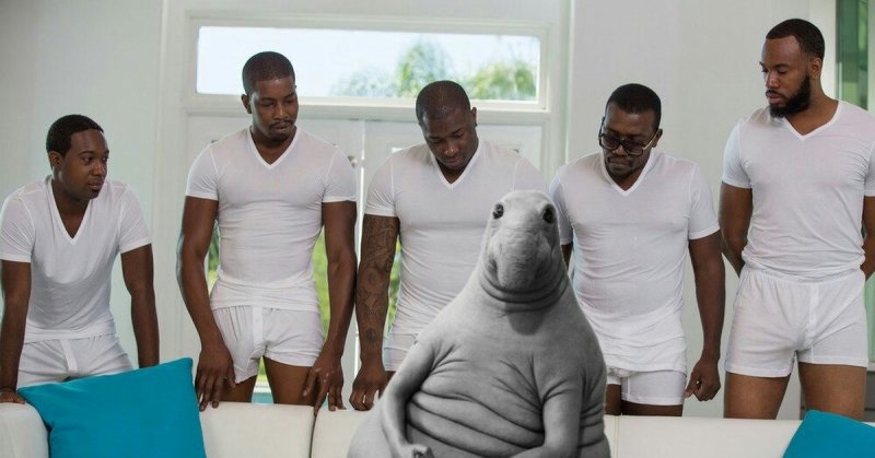 Негры и диван