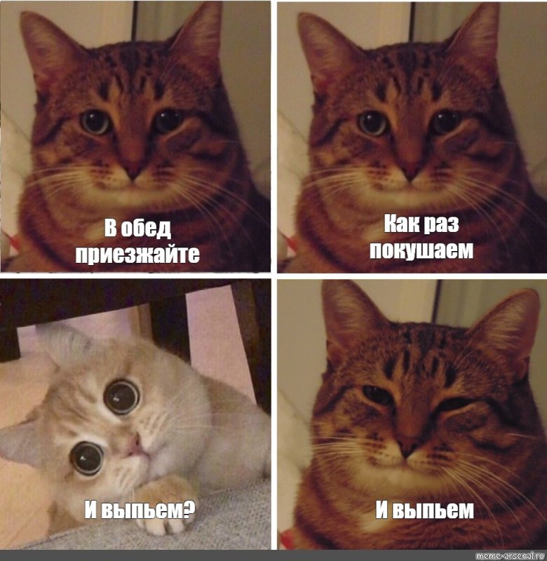 Кот улыбается Мем