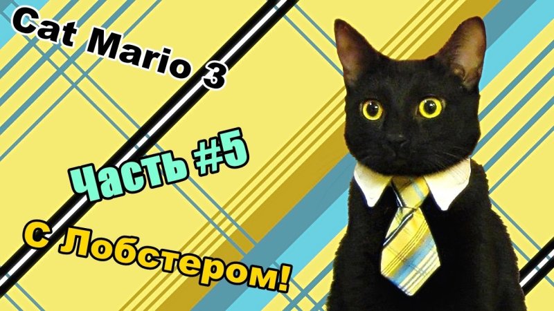 Черный кот в галстуке