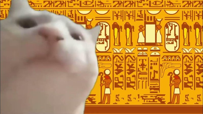 Camel by Camel Египетская кошка