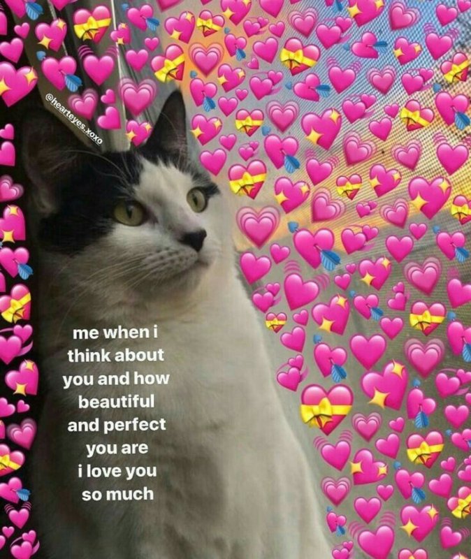 Милые коты с сердечками и надписями