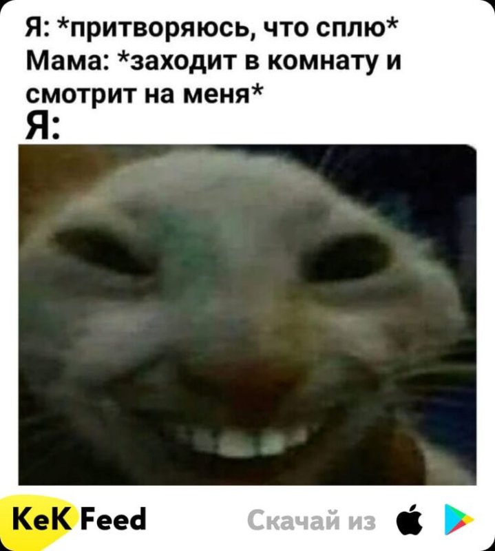 Кот улыбается Мем с зубами