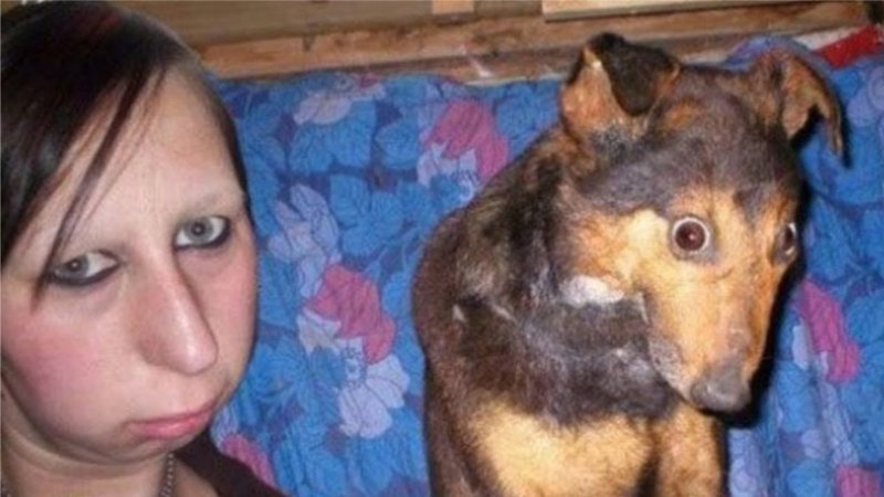 Фото девки с собакой похожи