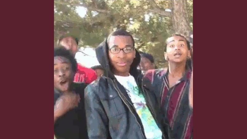 Негры в восторге