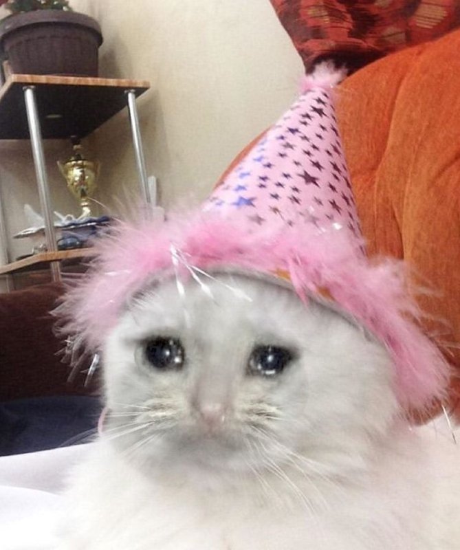 Колпаки кот