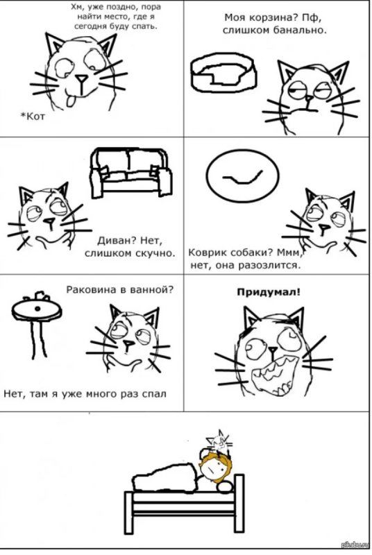 Мемы про котов