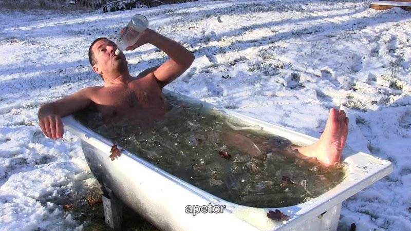 Тор Экхофф apetor