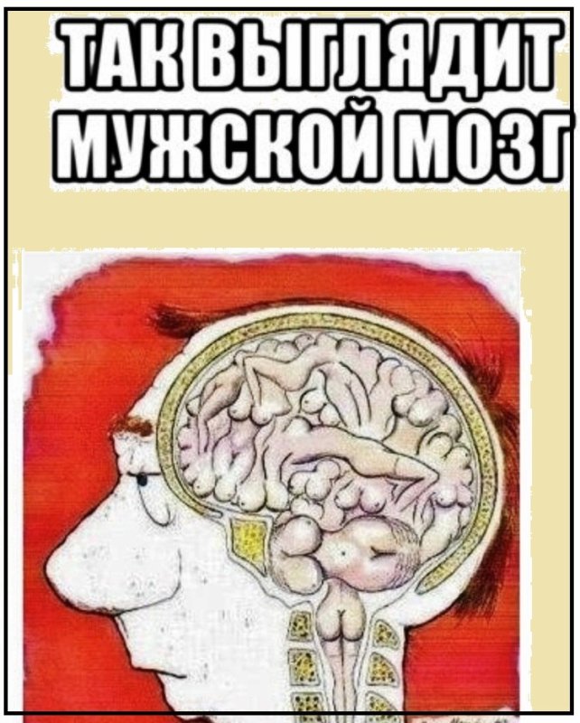 Мозги Мем