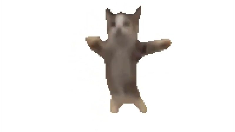 Кот танцует Мем