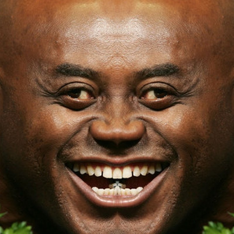 Эйнсли Хэрриот Мем