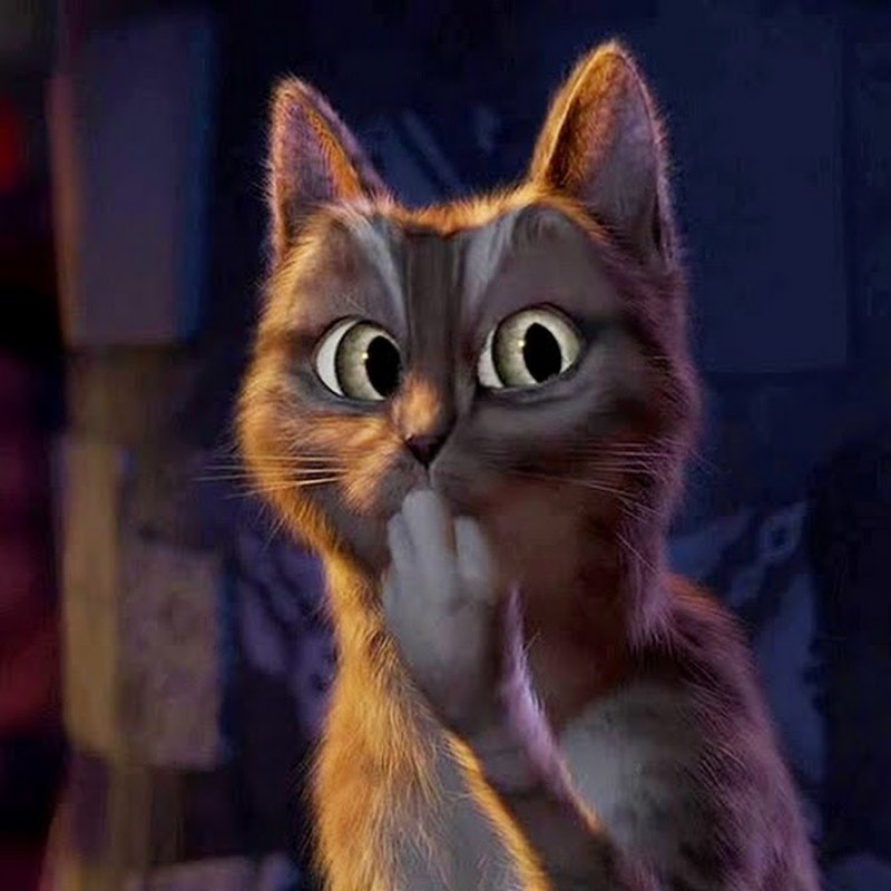 Удивленный кот в сапогах