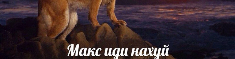 Макс иди