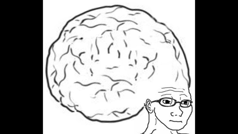 ДУМЕР С большим мозгом