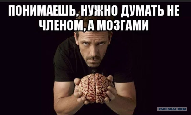 Мозги думают