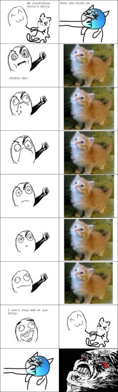 Мемы про котов