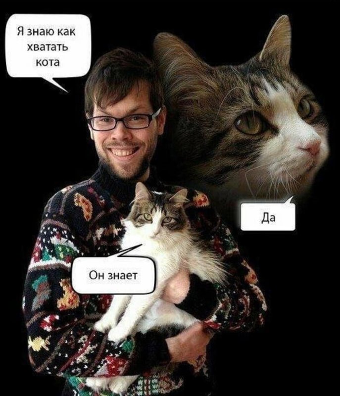 Я умею держать кота