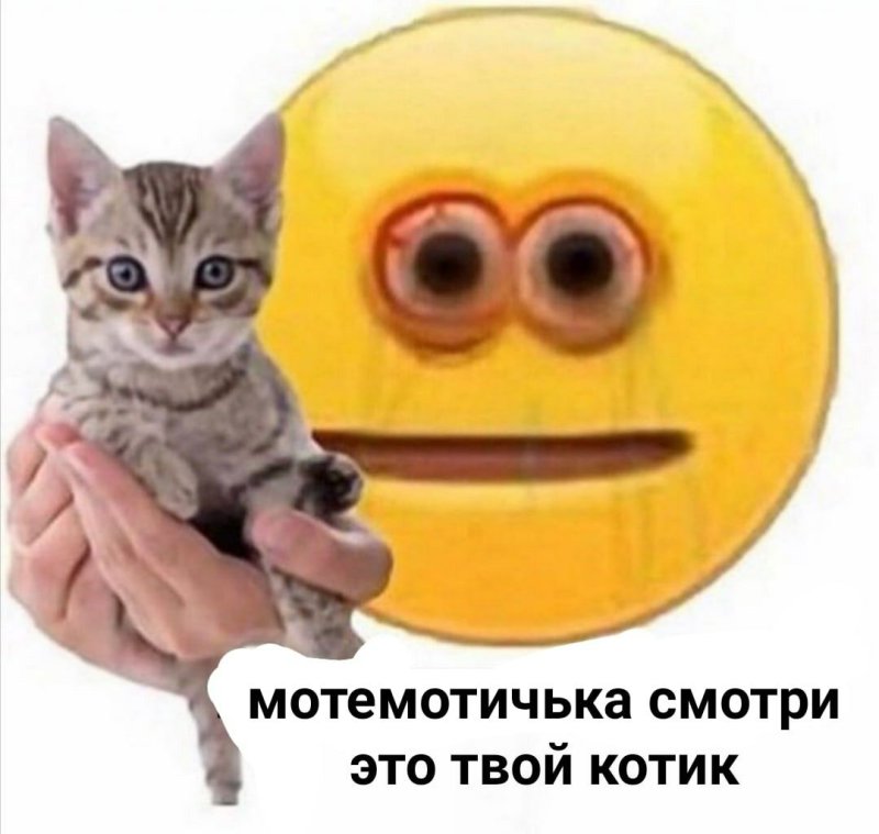 Смайлик сжал котика