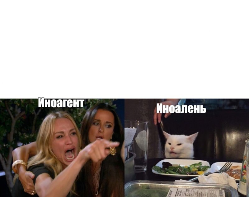 Мем две девушки и кот за столом