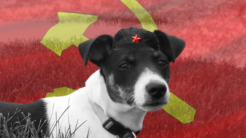 Собака коммунист