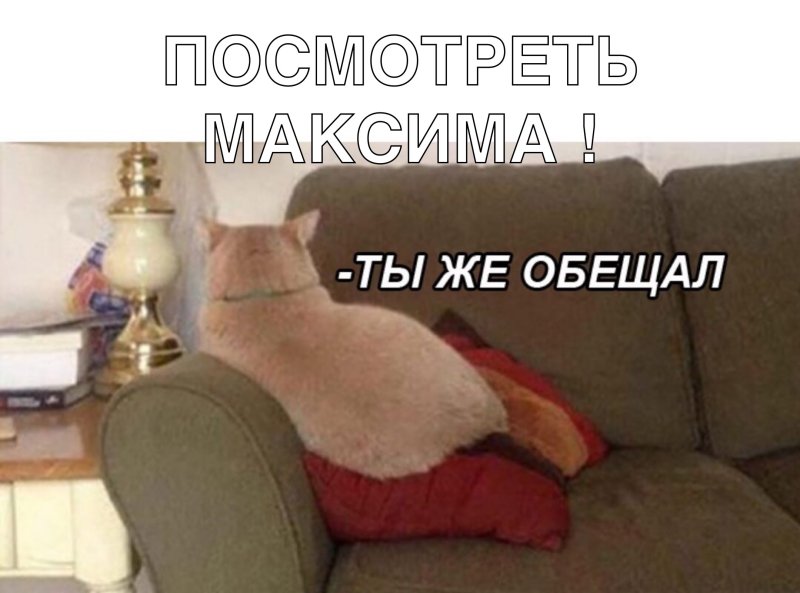 Кот обиделся мемы