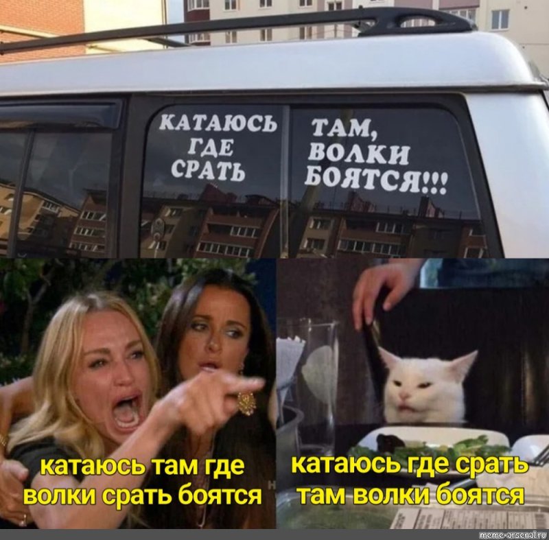 Мем с котом и двумя женщинами