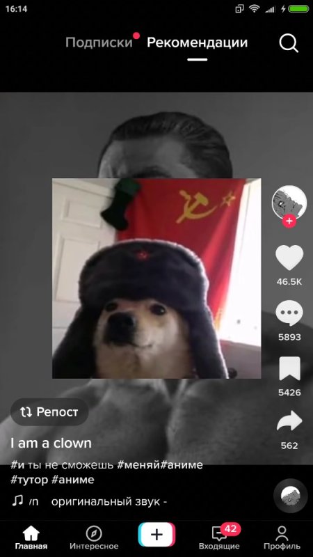 Собачья шапка СССР