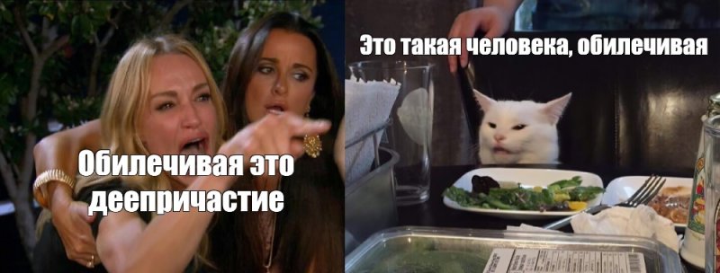 Две женщины орут на кота Мем