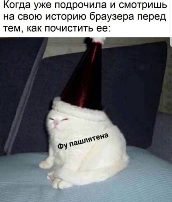 Кот в колпаке Мем