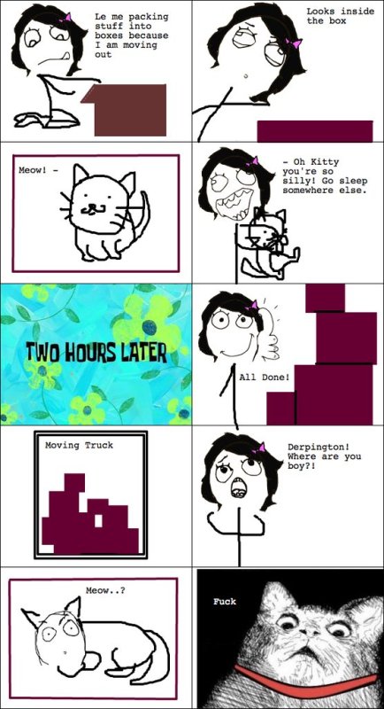 Котики мемы комиксы