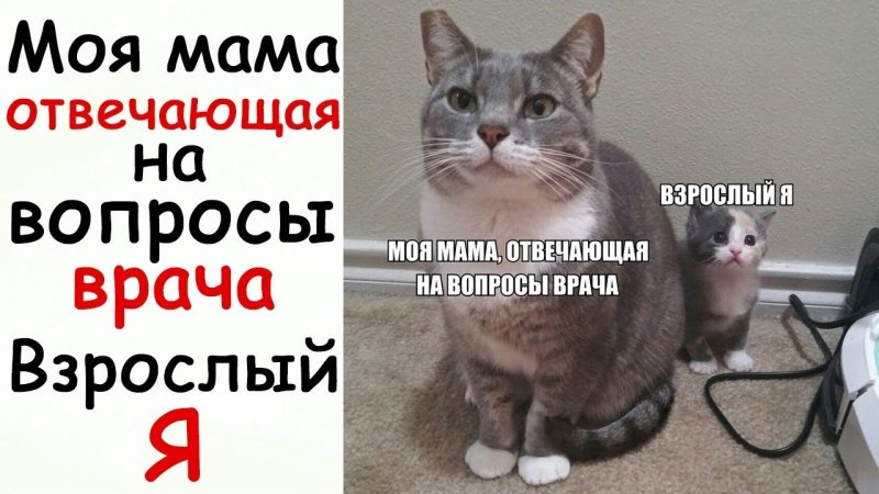 Моя мама отвечающая на вопросы врача