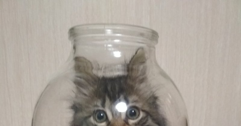 Мем с котом баночки